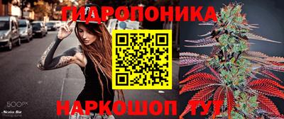 Альфа ПВП Пугачёв