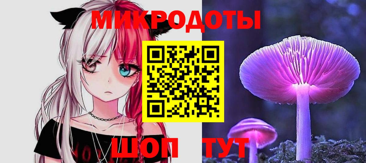 Псилоцибиновые грибы Psilocybe Печора
