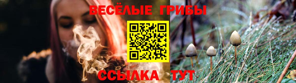 Печора  Псилоцибиновые грибы прущие грибы  Вход с VPN 